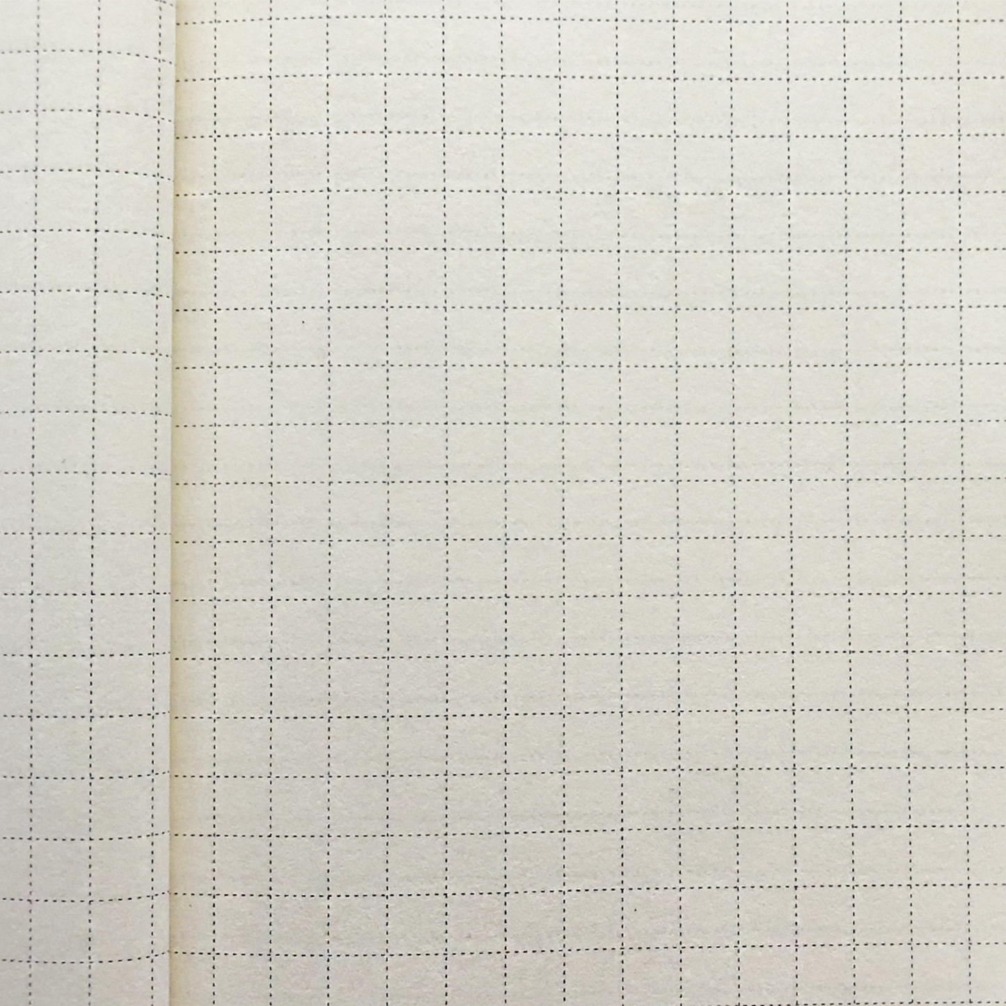 Close-up of inside pages of Insect Hardcover Journal showing Dot grid pages on a beige background