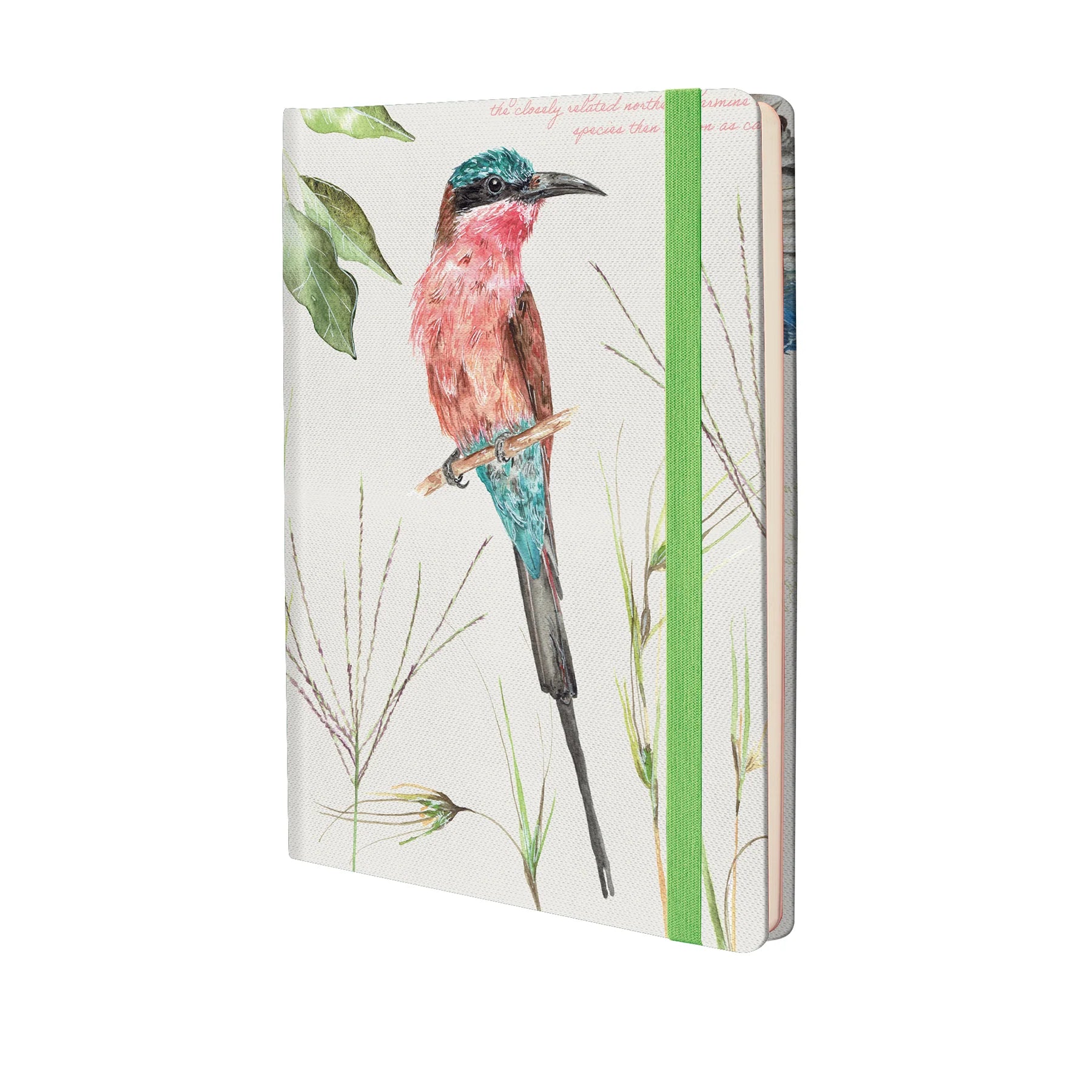 Front cover of African Bird Journal with Bee Eater design without belly band on a white background