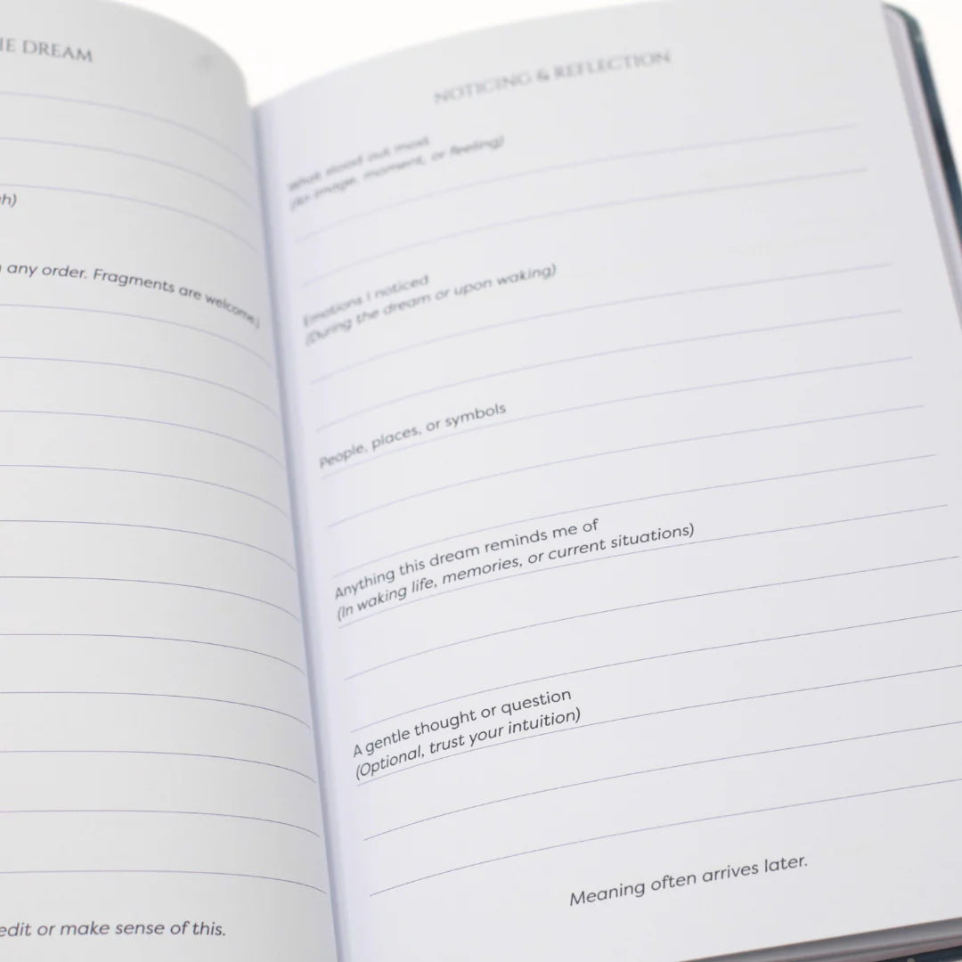 Inside pages of Journal with lined pages and text prompts on a white background.